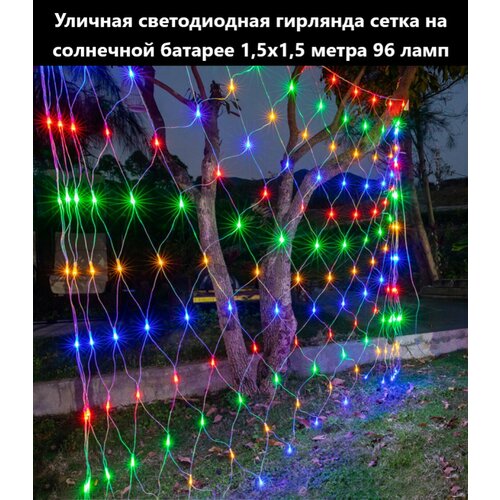 ���� ������������ �������� 96 ���� 1,5�1,5 �. � ����� ����� ������������ �� ��������� ������� � �������, ������ �� 1900 ���