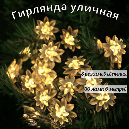 ���� ������������ �������� �� ��������� ������� 30 ���� 6,5 �����, ������ �� 790 ���