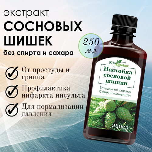 ���� �������� �������� ����� 