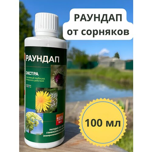 ���� ������� �� �������� 100��, ������ �� 359 ���