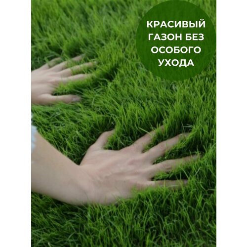 ���� �������� ����� ������ ������ 20��, ����������, ������ �� 6292 ���