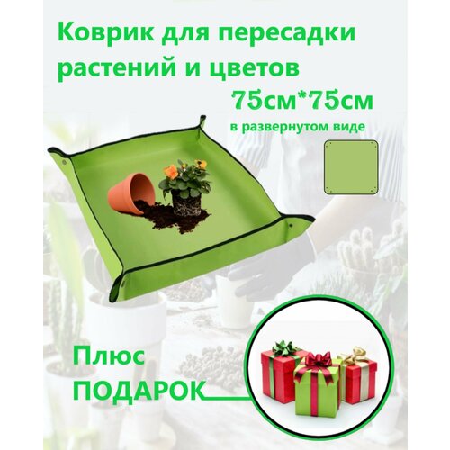 ���� ������ ��� ��������� �������� � ������, ������ �� 580 ���