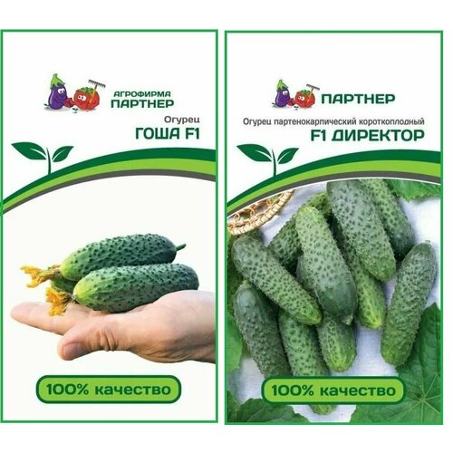     F1 +  F1   (2 * 5  ),   545 