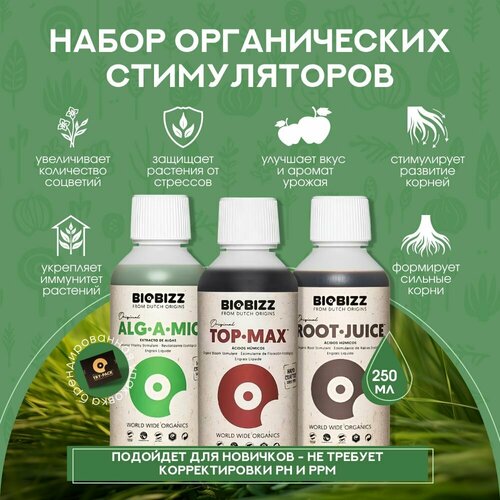 ���� ����� ������������ ��������� �� ���� � �������� �������� BioBizz Stimulant �ack (Root-Juice, Alg-a-Mic, Top-Max) 250 ��., ������ �� 3500 ���