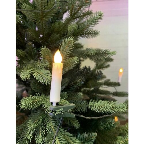 ���� �������� ����� �� ���� 20 ����, ������ �� 1450 ���