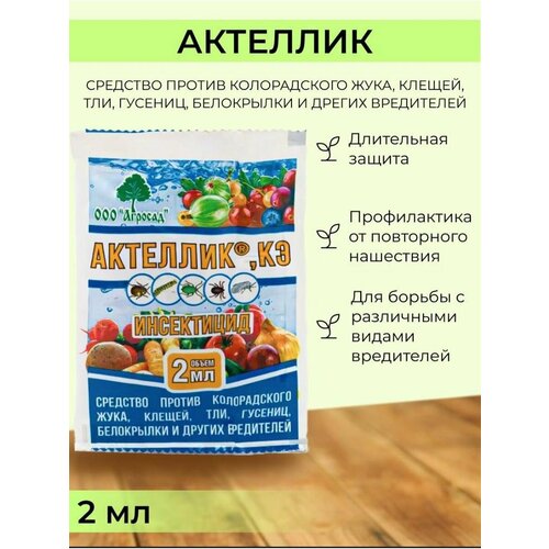 ���� ��������� ������ �������� �������� 1 ��, ������ �� 225 ���