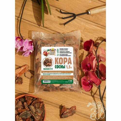 ���� ���� ����� 