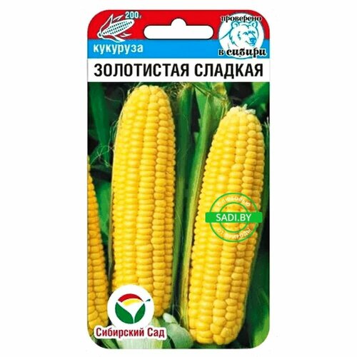 ���� �������� ���������� ������� 10 ����� , ��������� ���, ������ �� 38 ���