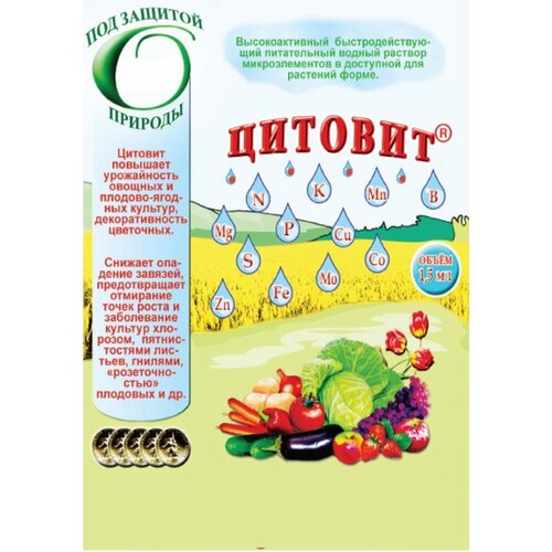 ���� ��������� ����� 