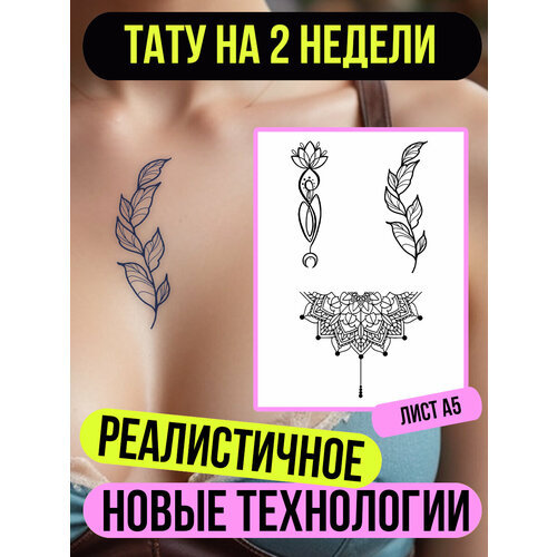 ���� ���� ���������� �������������� ��������, ������ �� 411 ���