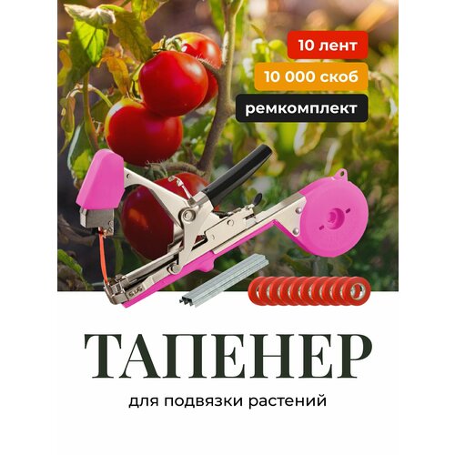 ���� ������� ������� ��� �������� �������� ������������� Birdhouse, �����, ������ �� 1733 ���