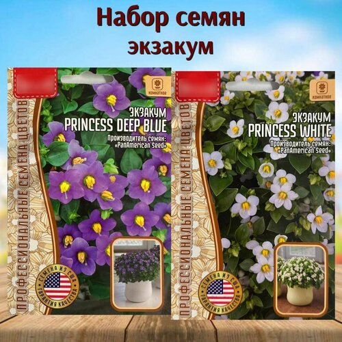 ���� ������ ��������� ������ ������� Princess ����� 2 ��., ������ �� 385 ���