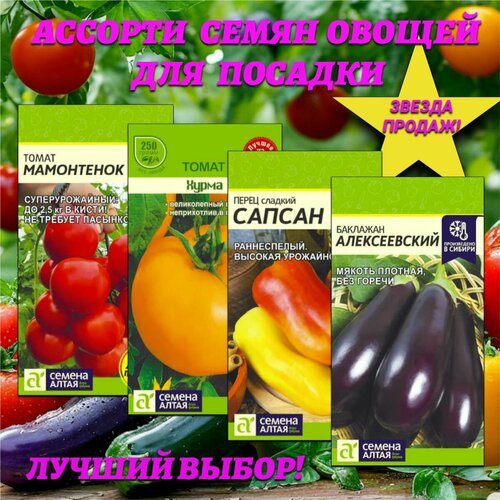 ���� ������� ����� ������: �����, �����, ��������. ������ �����, ������ �� 468 ���