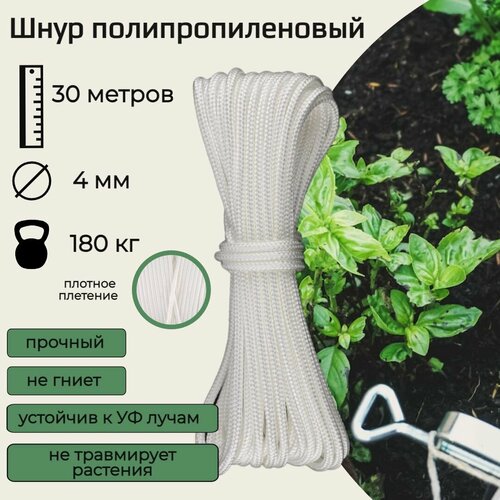 ���� ���� ��� �������� ��������, ���������������� 4 ��, �����, 30 ������, ������ �� 287 ���