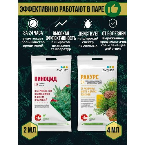 ���� �������� �� �������� � ���������� ������� �������� ������ 4 �� + ������� 2 ��, ������ �� 389 ���