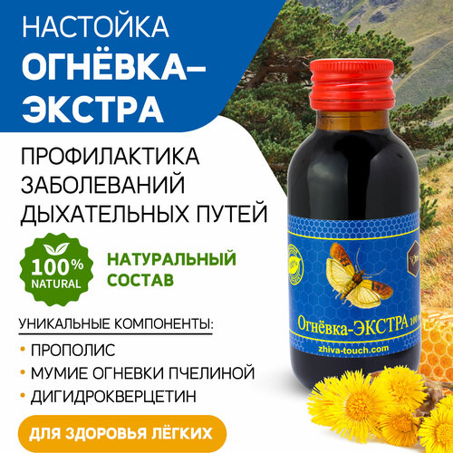 ���� �������� ������� ������ - ��� �������, �� �����, �� ��������, ���������� ����������� 100 ��., ������ �� 718 ���