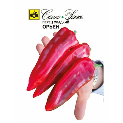 ���� ������ ����� ������� 