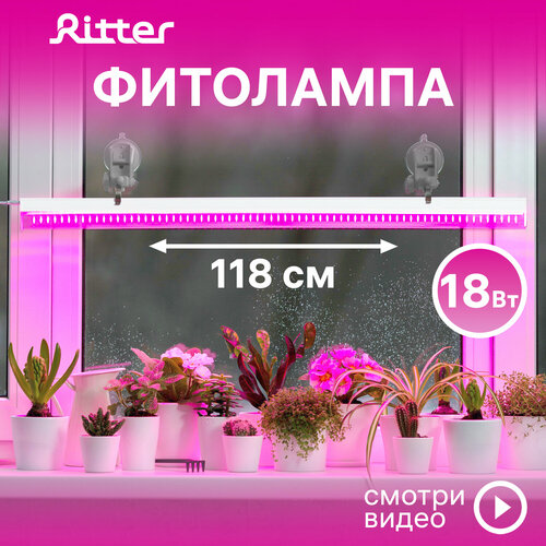 ���� ��������� ������������ ��� �������� �5 Ritter PLANTA, 18��, 1180�23�34��, ������ 2�, ����������� �� �������, ���� �����, �������������� ��� ������� ��������, ���������� ��� ��������� ������, 56292 4, ������ �� 1376 ���