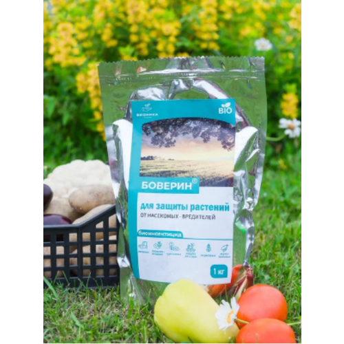 ���� ����������� ������� ������� �� ��������� ���������� �� ������� 1 ��, ������ �� 1674 ���