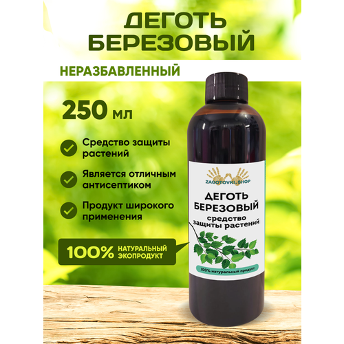 ���� ������ ���������. ������ �� ��������� 250 ��, ������ �� 450 ���