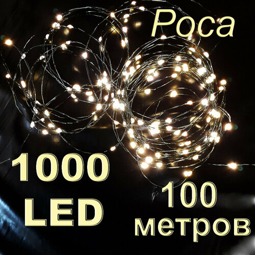 ���� ������������ �������� ���� 100 ������ Ҹ���� �����, ������ �� 1192 ���