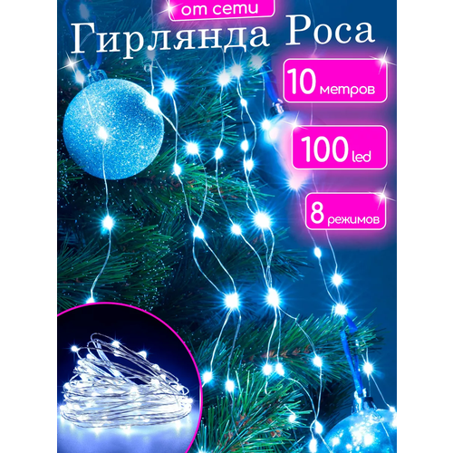 ���� ����� �������� 