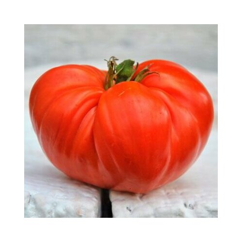 ���� ������������� ������ ����� ���������, ������ �� 104 ���