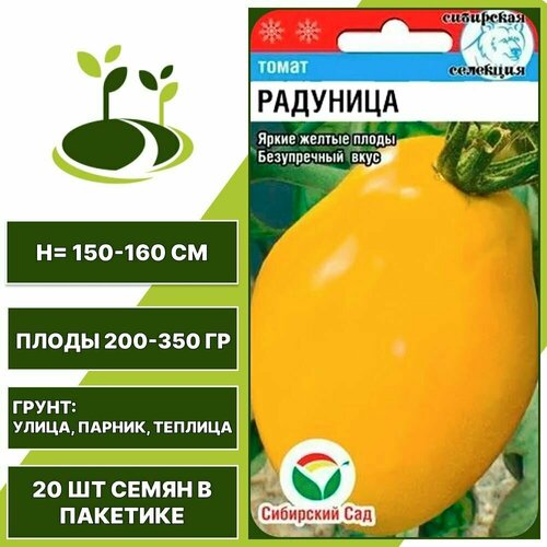    1  ,  , , ,    1    20 ,   46 