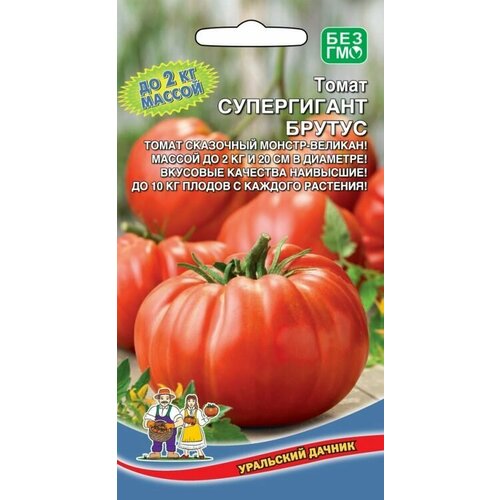 ���� ������ ����� ����������� ������ 20�� ��������� ������, ������ �� 44 ���