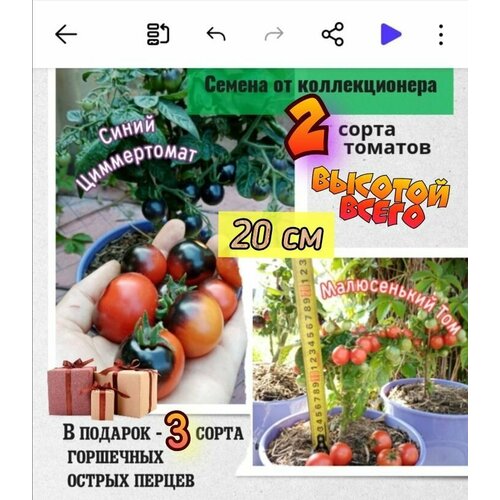 ���� ������ ��� ���������� �����������, ����� ����������� � ����������� ���, �������� �������� � ���, ������������� �����, ������ �� 395 ���