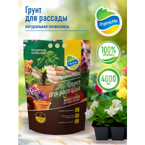 ���� ����� ��� ������� ����������� 4 �����, ������ �� 689 ���