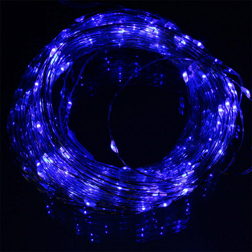 ���� �������� 