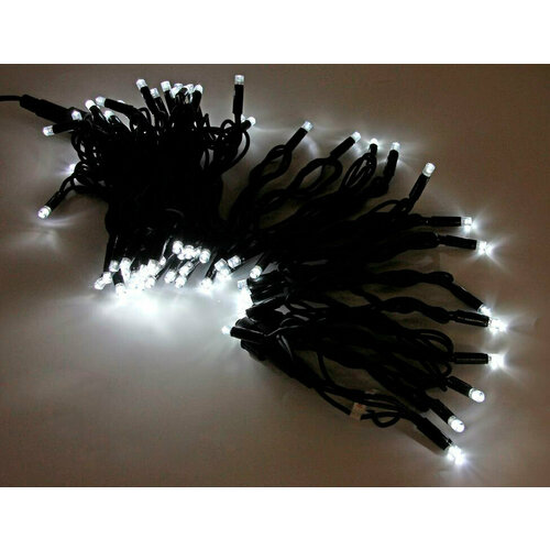 ���� ���������� ������������ �������� ���� ������� � ���������. ����� (�������� �����). ����� 10 ������. �����������. ������� ������ ������., ������ �� 1670 ���