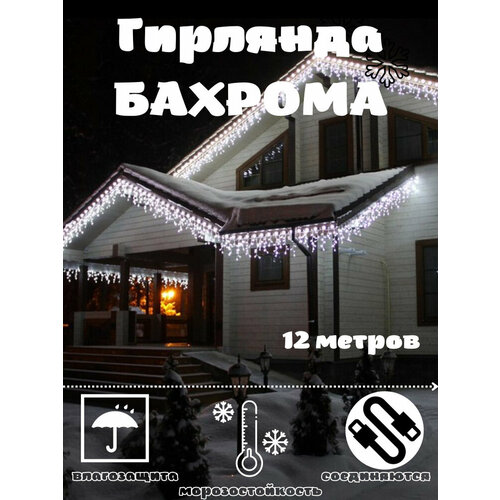 ���� �������� ������� ���������� ������� ���� ��������: ����� 12 ������, ������ �� 2490 ���