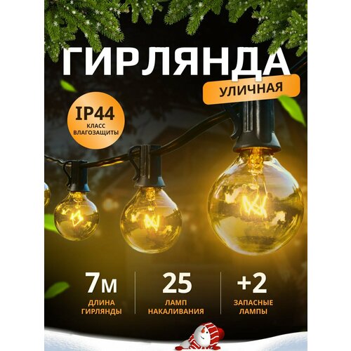 ���� �������� 