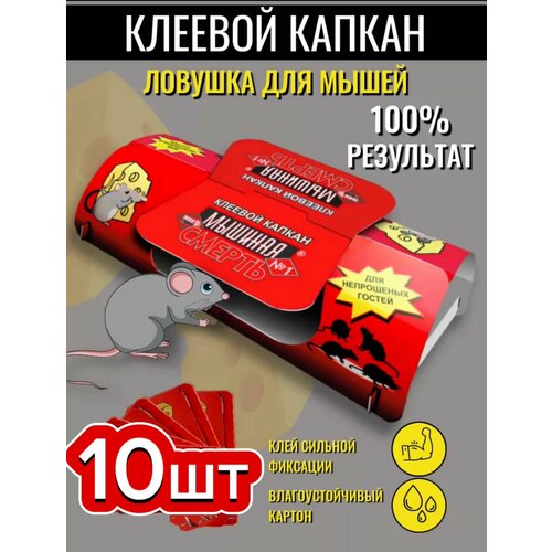 ���� ������� �������, ������� ������, ������� ������ -10��, ������ �� 800 ���