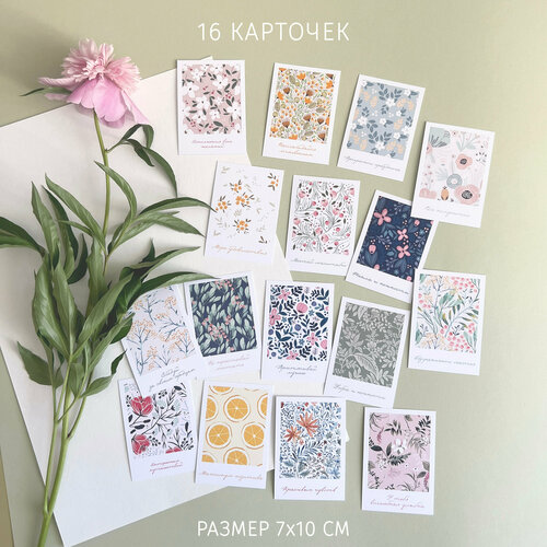 ���� ����� �������� 7�10 ��, 16 ��������, ������ �� 254 ���