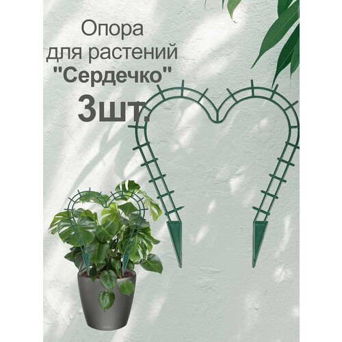 ���� ��������� (�����) ��� ��������� �������� 