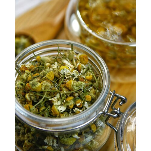 ���� ������ ������� ������� 50 �� - ����� �����, �������, �������� ��������� ���, �������, ������ �� 419 ���