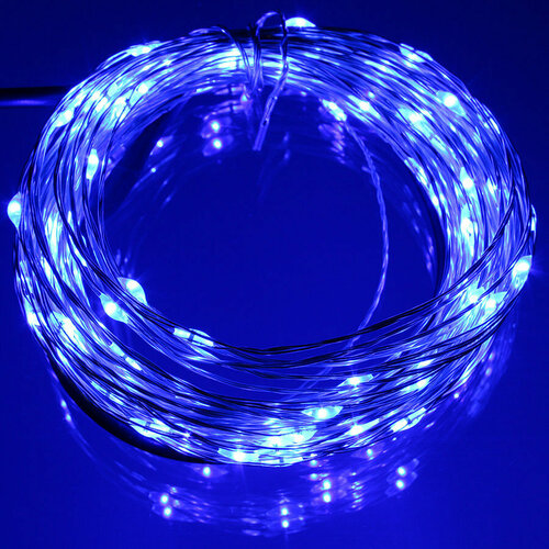 ���� �������� 