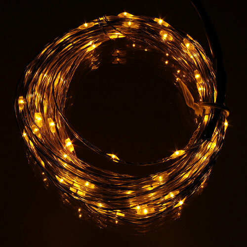 ���� �������� 