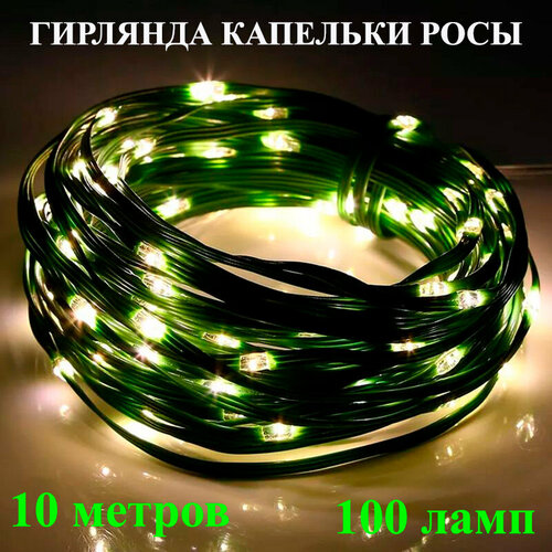 ���� ������������ �������� ����� ���� �� ������ ������� ����� (����� �����). 10 ������. ���������� ������� �������� ���� (����)., ������ �� 735 ���