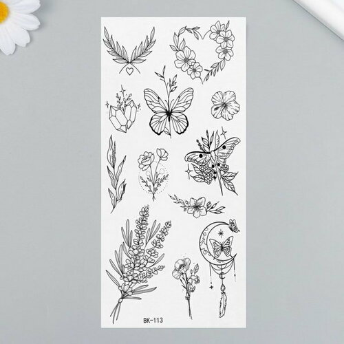 ���� ���������� �� ���� ������ 