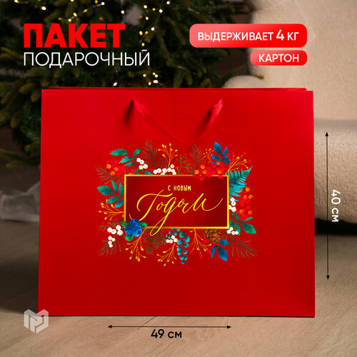 ���� ����� ���������� ������ ������� ������� ���������� XL, 49x40x19 ��, �������, ������ �� 327 ���