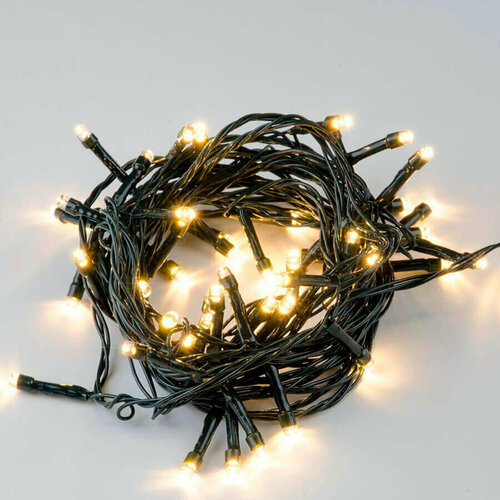 ���� ���������� ������������ �������� ���� ������� � ���������. Ƹ���� (����� �����). ����� 10 ������. �����������. ������� ������ ������., ������ �� 1670 ���