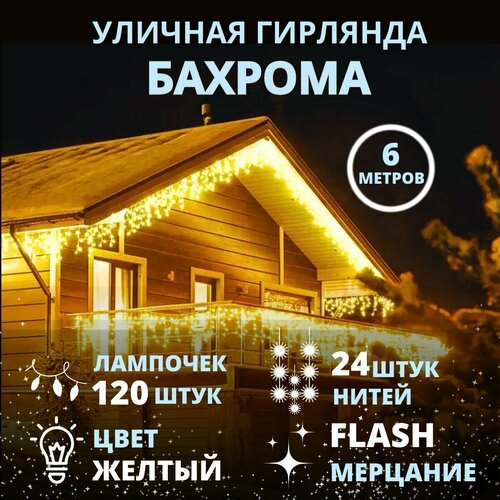 ���� �������� 