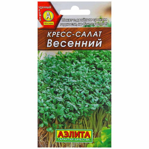 ���� ������. �����-����� 