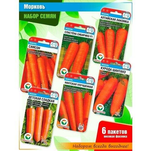 ���� ����� ����� �������: ������, �������� ��������, ��������� �������, ������� �������, �������� ����������, ������ ������� �� ���������� ���� (6 �����), ������ �� 389 ���