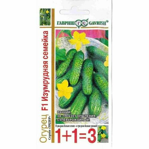 ���� ������ ������ ���������� ������� F1 ����, �����������, (������) 20�� ���1+1, ������ �� 121 ���