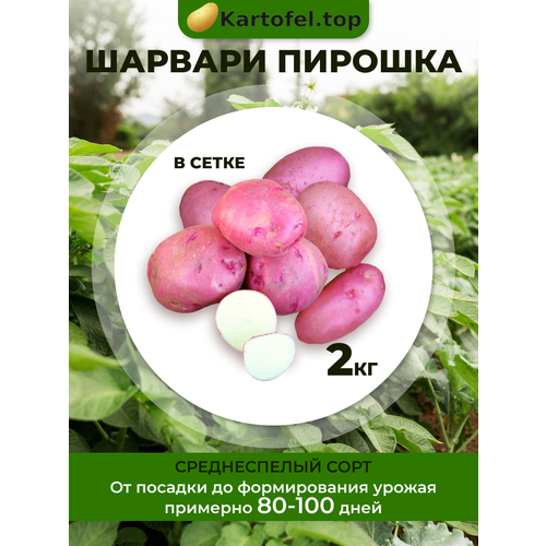 ���� �������� ��������� ������� ������� 2 ��, ������ �� 590 ���